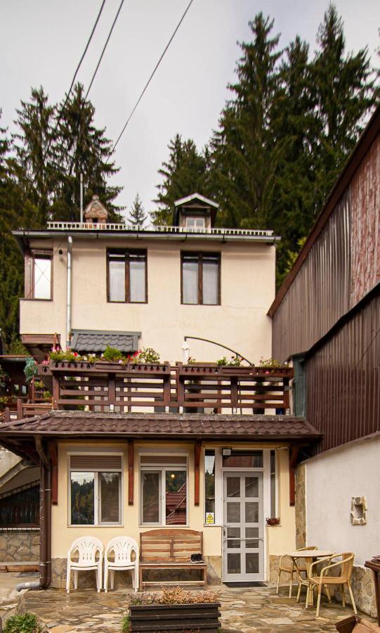 Casa Sara Apartment Sinaia Exterior foto